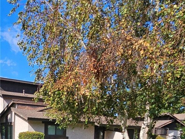 7552 Corbin Avenue 4, Reseda (los Angeles) CA 91335