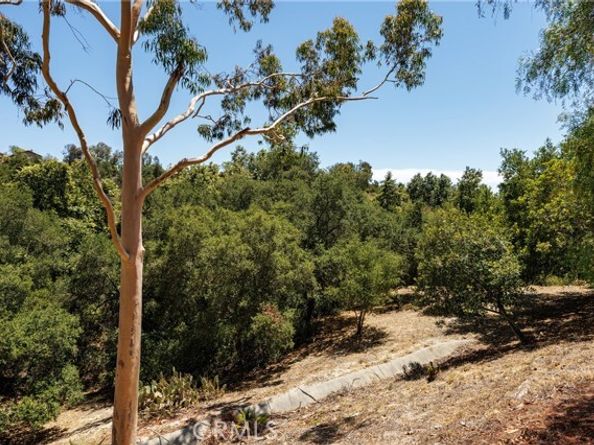 4 Blanco, Lake Forest (el Toro) CA 92610