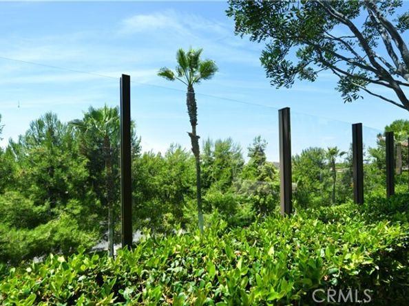 99 Fuchsia, Lake Forest (el Toro) CA 92630
