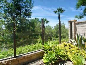 99 Fuchsia, Lake Forest (el Toro) CA 92630