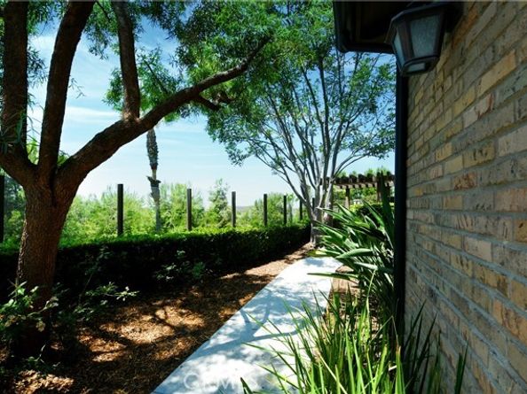 99 Fuchsia, Lake Forest (el Toro) CA 92630