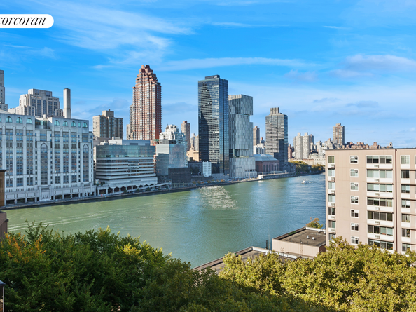 531 Main Street 1213, New York NY 10044