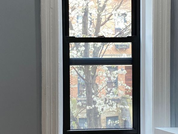 100 Hamilton Place 2F, New York NY 10031