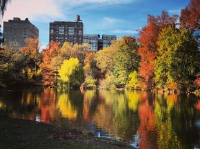 410 Central Park W 2F, New York NY 10025