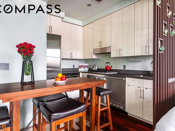 1 Hanson Place 9E, Brooklyn NY 11243