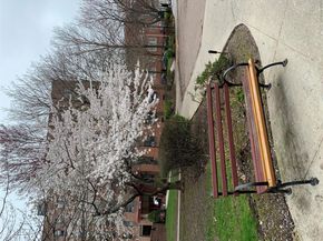150-29 72 Rd 3L, Flushing NY 11367