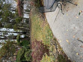 372 Woodbridge Lane, Jericho NY 11753