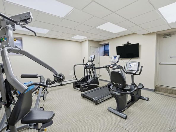 25 Chapel Pl. 1B, Great Neck NY 11021