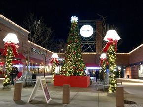 1020 Elton Street 18BB, Brooklyn NY 11208