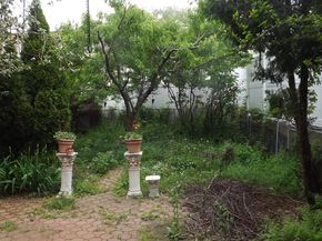 1942 Haight Avenue, Bronx NY 10461