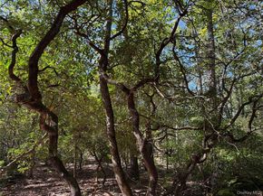 98 Eastwoods Road, Pound Ridge NY 10576