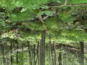 98 Eastwoods Road, Pound Ridge NY 10576