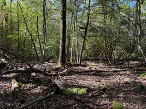 98 Eastwoods Road, Pound Ridge NY 10576