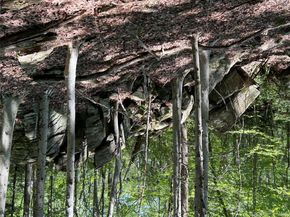 98 Eastwoods Road, Pound Ridge NY 10576