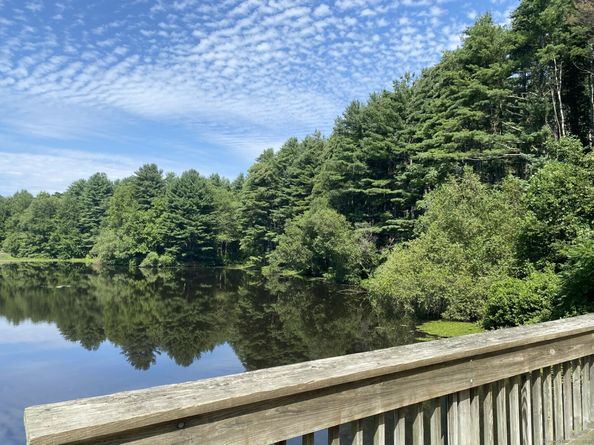 93 Shelton Avenue, Shelton CT 06484