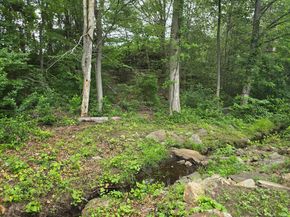 20 Woodland Park, Shelton CT 06484