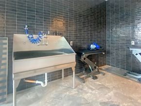 889 Avenue Square NE 209, Bellevue WA 98004