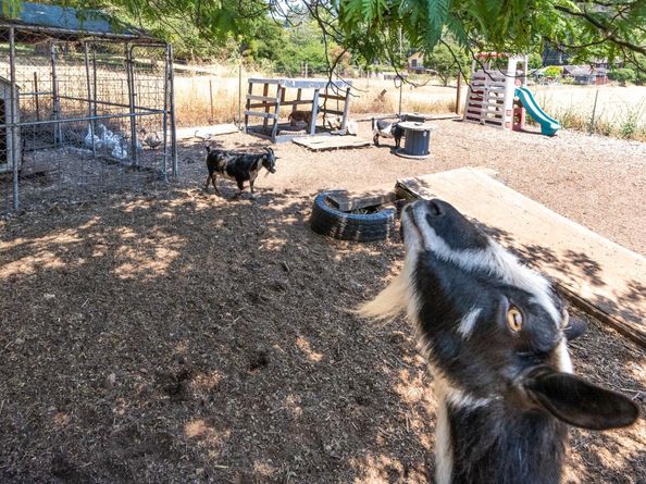 2165 Cox Road, Aptos CA 95003