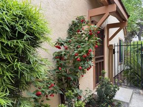 1362 Keenan Way, San Jose CA 95125