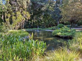 18000 Overlook Road, Los Gatos CA 95030