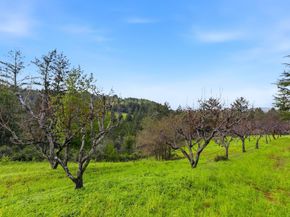 24733 Loma Prieta Avenue, Los Gatos CA 95033