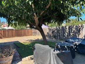 939 S 7th Street, San Jose CA 95112