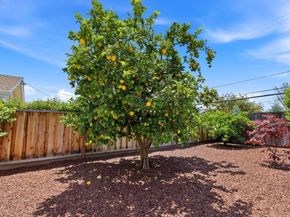 2905 Cambridge Drive, San Jose CA 95125