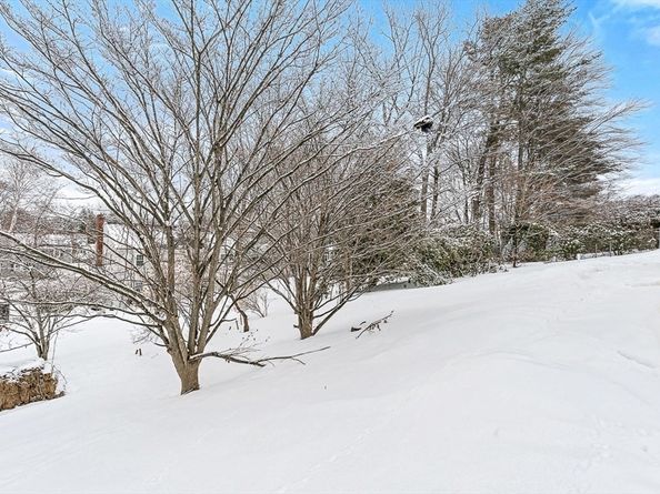 9 Albamont Road, Winchester MA 01890