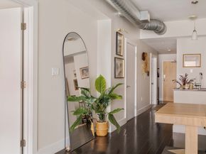 257 Northampton St 307, Boston MA 02118