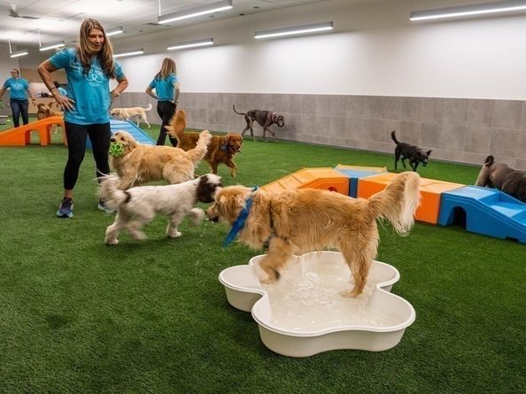 240 Devonshire Street 3814, Boston MA 02110