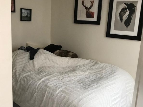 6 Baldwin Place, Boston MA 02113