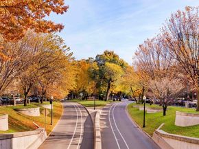 362 Commonwealth Ave 5A, Boston MA 02115