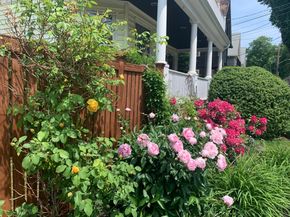 62 Everett St 2, Arlington MA 02474