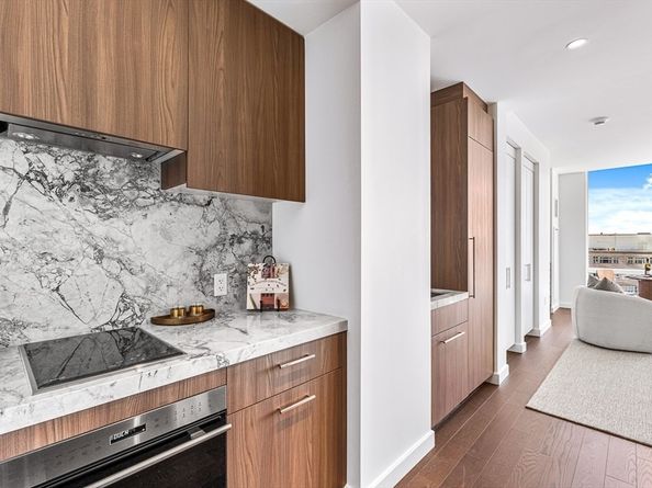430 Stuart 1607, Boston MA 02116