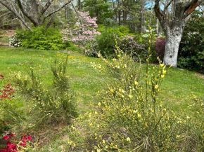 48 Neal Gate St, Scituate MA 02066