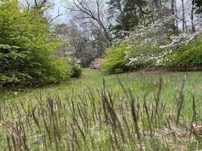 48 Neal Gate St, Scituate MA 02066