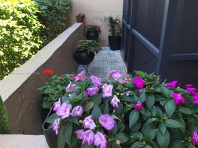 8220 SW 24th St 4106, North Lauderdale FL 33068