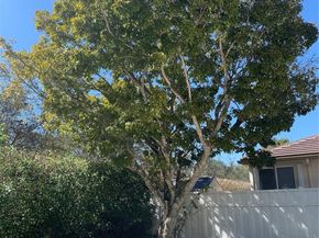 13080 NW 8th Ct, Sunrise FL 33325