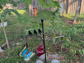 800 SW 26th Ct, Fort Lauderdale FL 33315