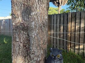 800 SW 26th Ct, Fort Lauderdale FL 33315