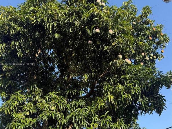 800 SW 26th Ct, Fort Lauderdale FL 33315