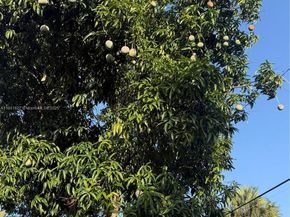 800 SW 26th Ct, Fort Lauderdale FL 33315