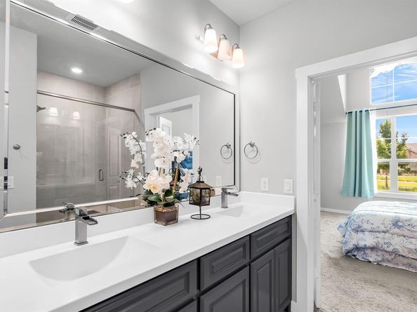3780  White Clover Lane , Prosper Texas 75078