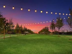 3780  White Clover Lane , Prosper Texas 75078