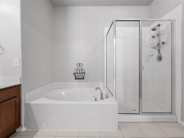 9609  Falcons Fire Drive , McKinney Texas 75072