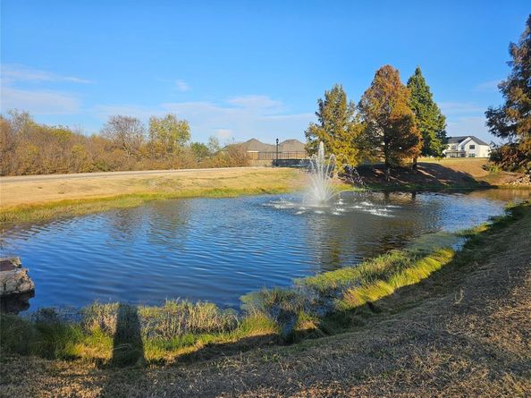 294  Duxbury Court , Sunnyvale Texas 75182