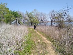 1728  Flamingo Drive , Little Elm Texas 75068