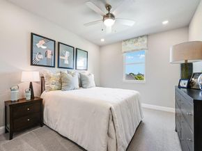 530  Chatham Street , Oak Point Texas 75068