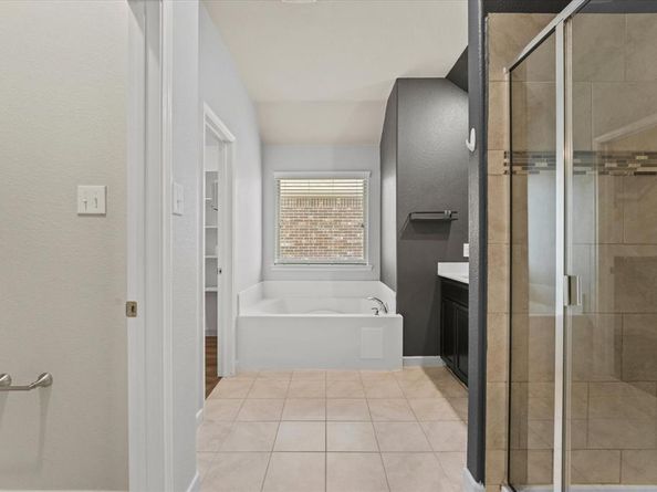 10341  Big Sandy Court , McKinney Texas 75071