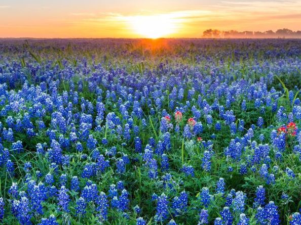 120 Fox RUN, Georgetown TX 78628